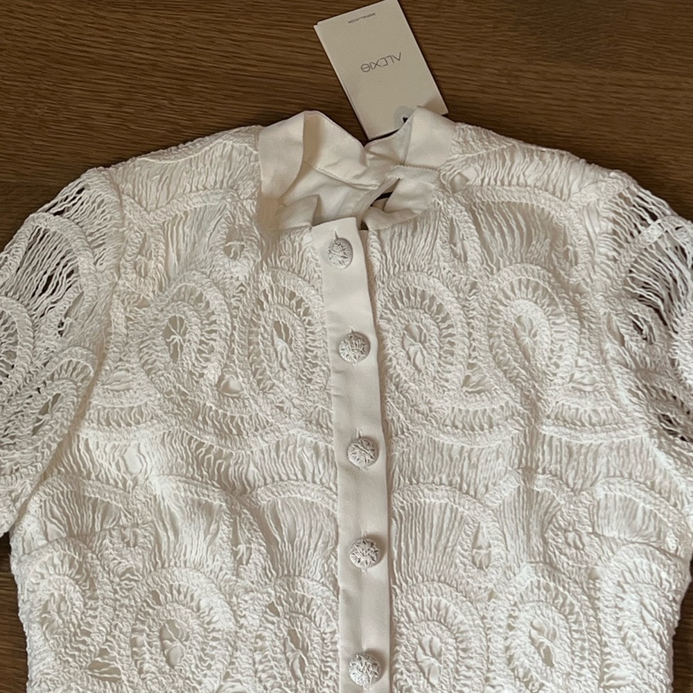 Alexis white crochet dress NWT - Picture 2 of 3